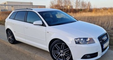 Audi A3 8P Hatchback 3d 2.0 TDI PD 170KM 2008 Audi A3 Sportback Sportback 2.0 TDI 170KM QUATTRO S LINE Skora Xenon 2.0, zdjęcie 2