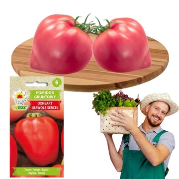 POMIDOR Bawole Serce Oxheart WCZESNY nasiona