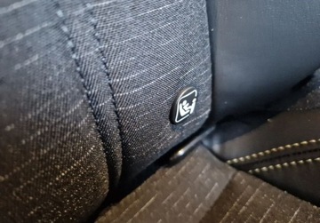 Renault Austral 1.2  E-Tech Full Hybrid 200KM 2025 Renault Austral GDYNIA iconic E-Tech full hybrid 200 bez przebiegu 1.2, zdjęcie 20