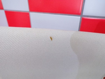 5C6867506P PODSUFITKA VW JETTA 5T5 2011-2018r