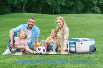 Холодильник с морозильной камерой LP25 -20°C 12В/24В|230В автомобильный компрессор НОВИНКА!