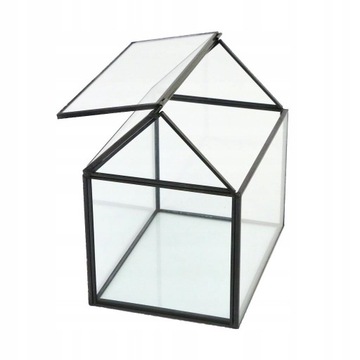 стеклянная теплица - Дом