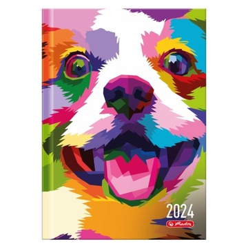 Kalendarz dzienny A5 POP-ART na Notatki Notes Notatnik kolorowy pies 2024