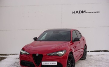 Alfa Romeo Stelvio SUV Facelifting 2023 2.2 JTDM 210KM 2024 Alfa Romeo Stelvio Alfa Romeo Stelvio Tributo Italiano 2.1 Diesel 210KM, zdjęcie 2