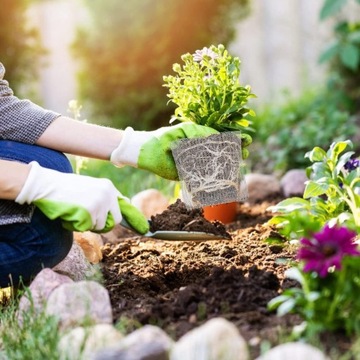 4 ШТ. МЕТАЛЛИЧЕСКАЯ САДОВАЯ СЕТКА ЗАЩИТНАЯ КОРЗИНА ДЛЯ ЗАЩИТЫ КОРНЕЙ РАСТЕНИЙ