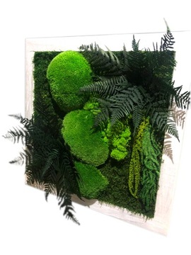 OBRAZ Z MCHU I ROŚLIN STABILIZOWANYCH Chrobotek