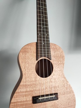 Профессиональная деревянная Гавайская концертная гавайская гитара