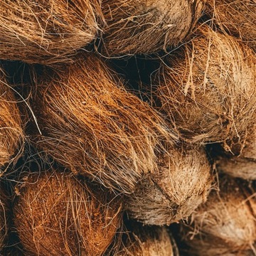 КОКОСОВЫЙ ПРИХОДНОЙ Коврик 60X40СМ ВИРАЛЬНЫЙ TIKTOK ЕНОТ ПЕДРО ПЕДРО УЗОРЫ