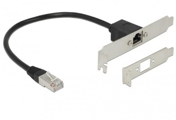 Przejście RJ 45 wt - RJ 45 gn Ze Śledziem 0,3m