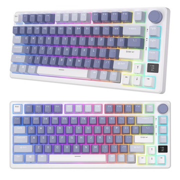 ROYAL KLUDGE RKM75 RGB Bezprzewodowa Klawiatura mechaniczna SILVER switch