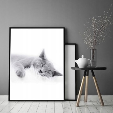 КАРТИНА, ПОСТЕР В РАМКЕ 33х43 см Кот П502