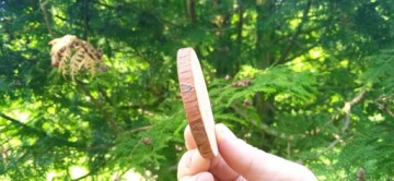 Деревянные ломтики, 300 шт., 2-7 см, деревянные диски, ломтики.