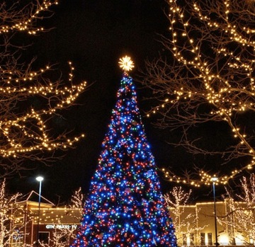 РОЖДЕСТВЕНСКИЕ ОГНИ 1000 СВЕТОДИОДНЫХ НАРУЖНЫХ ФИКСИРОВАННЫХ ВСПЫШОК, ТОЛЩИЙ КАБЕЛЬ, МУЛЬТИ-ШТОРА