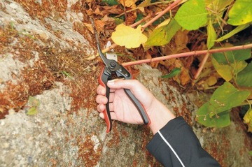 Секатор FELCO 160S – модель для маленьких рук