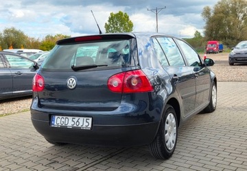 Volkswagen Golf V Hatchback 1.4 i 16V 75KM 2005 Volkswagen Golf 1,4 Ben Klima 1.4 Benzyna 75KM, zdjęcie 2