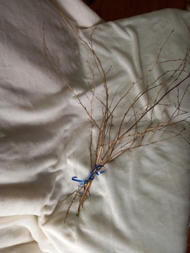 Золотой жезл Санты