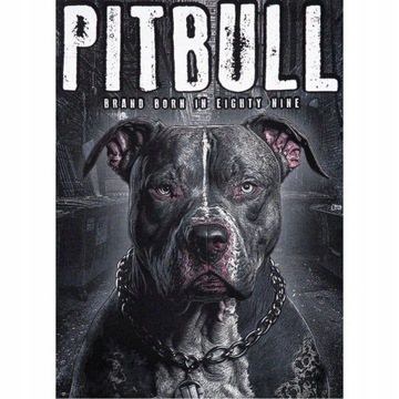 KOSZULKA MĘSKA PIT BULL T-SHIRT PODKOSZULEK SPORTOWA NA CO DZIEŃ PITBULL