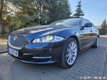 Jaguar XJ VII X351 Sedan SWB 3.0L V6D 600 275KM 2014 Jaguar XJ Piekny Full Wyposazenie 3.0 Diesel 275KM, zdjęcie 3