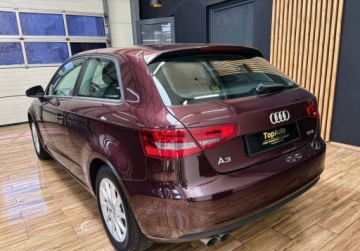Audi A3 8V Hatchback 3d 1.4 TFSI 122KM 2013 Audi A3 3-drzwiowe 1.4TFSI 122KM manual BEZWYPADKOWA zarejetrowana gwar, zdjęcie 8