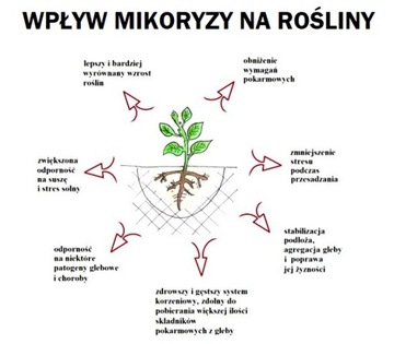 2X УНИВЕРСАЛЬНАЯ МИКОРИЗА деревья цветы кустарники