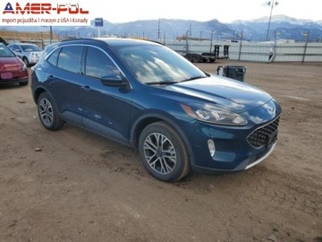 Ford Escape III 2020 Ford Escape 2020 Ford Escape SEL AWD 1.5 Benzyna 181KM
