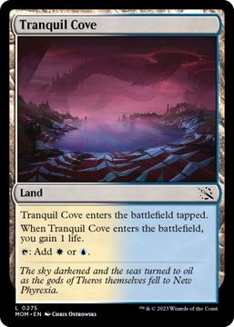 MTG 4x Tranquil Cove