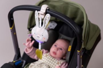 Музыкальная шкатулка Garden Rabbit Taf Toys - Музыкальная игрушка со светом