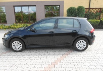 Volkswagen Golf VII Hatchback 3d Facelifting 1.6 TDI-CR DPF BMT 115KM 2019 Volkswagen Golf Volkswagen Golf VII 1.6 Diesel 115KM, zdjęcie 6