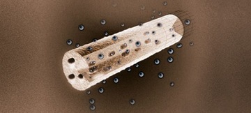 Толстовка X-BIONIC APANI 4.0 TRANSMISSION LAYER r.L