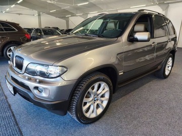 BMW X5 E53 3.0d 218KM 2004 BMW X5 3.0d 218 KM, Automat, Nawi, Skóra, zdjęcie 1