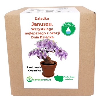 Zestaw BONSAI paulownia Dzień Dziadka Janusz