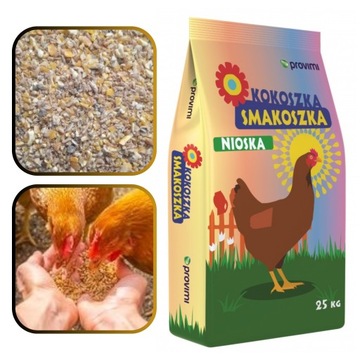 PASZA DLA KUR NIOSEK Kokoszka Smakoszka SYPKA Kury dzióbią AŻ KORYTKO PĘKA!