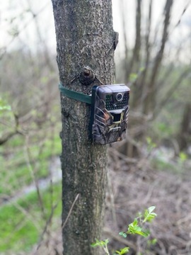 ИК-камера для леса 940 нм TOPHUNT Охотничья камера-ловушка 2.7K Польское меню 36Mpx