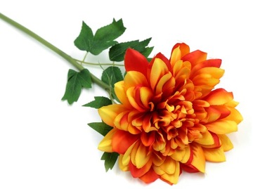 DALIA DO WAZONU NA GAŁĄZCE POMARAŃCZOWA 62cm