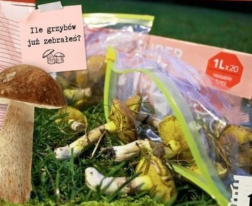 PACLAN АВЕТКА НА МОЛНИИ ПИЩЕВЫЕ СУМКИ 3 Л - 15 ШТ.