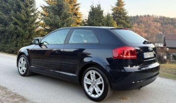 Audi A3 8P Hatchback 3d 1.6 TDI 105KM 2010 Audi A3 3-drzwiowe Audi A3 3-drzwiowe 1.6 TDI DPF Ambition 1.6 Diesel 105KM, zdjęcie 10