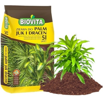 ZIEMIA PODŁOŻE DO PALM JUKI DRACEN BIOVITA 5L