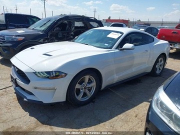 Ford Mustang VI 2020 Ford Mustang 2020r, Ecoboost, 2.3L 2.3 Benzyna 320KM, zdjęcie 1