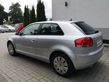 Audi A3 8P Hatchback 3d 1.9 TDI 105KM 2007 Audi A3 1.9 TDI 105KM Klima Elektryka Po wymianie, zdjęcie 8