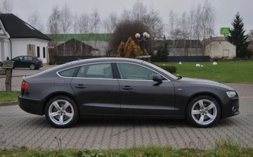 Audi A5 8T Sportback 2.0 TDI 143KM 2010 Audi A5 Sportback 2010r, 2.0 TDI, Automat, Skora, Xenon, Navi, Swietnie ut, zdjęcie 16