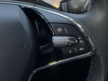 Skoda Kamiq Crossover 1.0 TSI 110KM 2021 Skoda Kamiq TSI 110KM Style Appconet Full LED Kamera Cofania DSG, zdjęcie 16