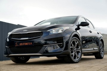 Kia XCeed Crossover Facelifting 1.5 T-GDi 160KM 2023 Kia XCeed NAWI kamera parktronik SKÓRA automat F1