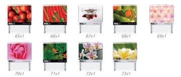 Принтер COLOP IQ штамп C30 47x18мм