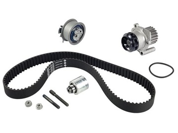 INA 530020133 КОМПЛЕКТ ГРМ 1.4 TDI BMS 1.9TDI BLS BXE VW AUDI SKODA SEAT