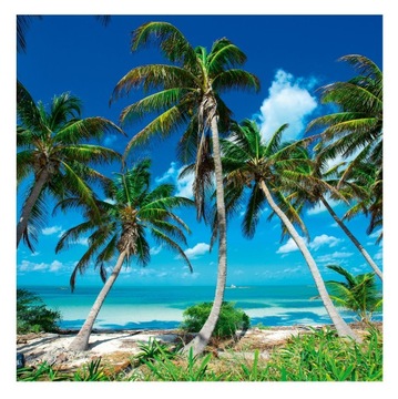 Fototapeta Samoprzylepna NA WYMIAR Rajska Plaża