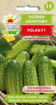 Ogórek gruntowy POLAN F1 5g TORAF