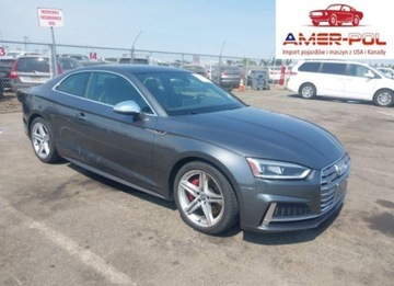 Audi A5 F5 2019 Audi S5 Coupe 3.0T Premium 2019 3.0 Benzyna 349KM
