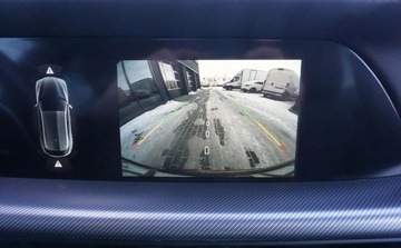 Alfa Romeo Stelvio SUV Facelifting 2023 2.2 JTDM 210KM 2024 Alfa Romeo Stelvio Alfa Romeo Stelvio Tributo Italiano 2.1 Diesel 210KM, zdjęcie 28