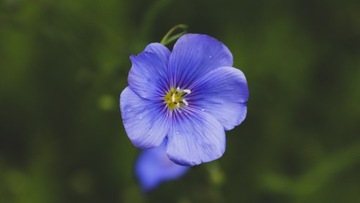 Пакеты для хлеба XXL - набор из 3 штук ECO, ZERO WASTE.