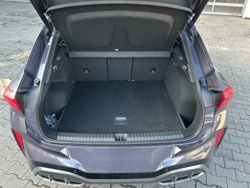 Cupra Terramar 2025 Cupra Terramar 2.0 TSI 204 KM DSG 4Drive, zdjęcie 16